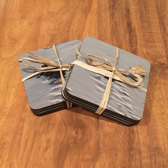 Turtle Coasters - Cork Bottom - 2 Sets of 4 (8 total) - NWOT - Picture 5 of 6